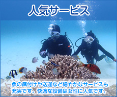 お魚の餌付けも体験